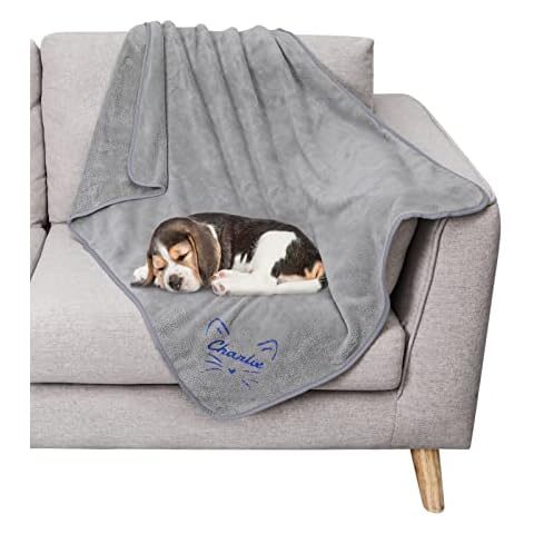 TEAYASON Personalised Dog Blanket with Embroidered Name and Pattern,30 x 40 Inch Soft Warm Pet Blankets for Sofa, Couch, Bed and Outdoor, Custom Dog Gift for Dog Lovers( Grey) Cover