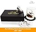 𝗕𝗘𝗦𝗧 𝗚𝗜𝗙𝗧: Exclusive Whiskey Stones Gift Set - High Cooling Technology - Reusable Ice Cubes - Stainless Steel Whisky Rocks - Whiskey Gifts for Men - Regalos para Hombre - Coasters + Ice Tongs