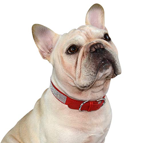 Hifrenchies - Collare per cani in pelle