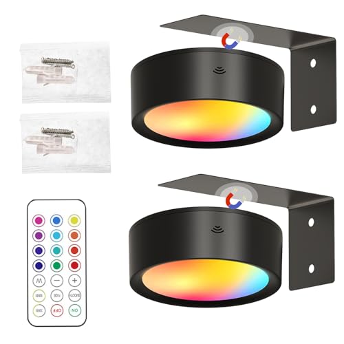 Manolyee Lampe d'Art sur Batterie pour Tableaux - Éclairage LED Aimanté pour Peintures avec Télécommande,Lampe LED pour Tableaux avec 13 Modes, Décoration Murale pour Chambre et Couloir