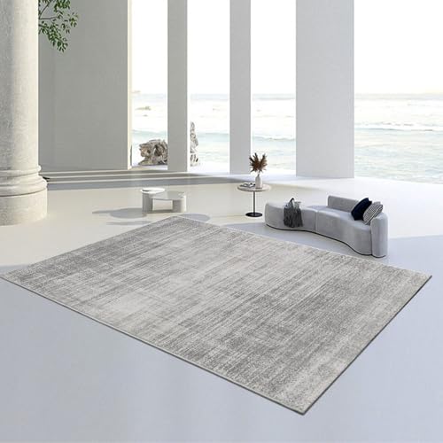 Tapis épais lavable en machine pour éliminer les taches du salon
