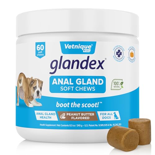 Vetnique Labs Glandex Anal Gland Soft Chew Treats with Pumpkin for Dogs Digestive Enzymes, Probiotics Fiber Supplement for Dogs Boot The Scoot (Peanut Butter Chews, 60 Count)
