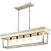Golden Lighting 0839-LP BC Haiden Linear Pendant, Burnished Chestnut