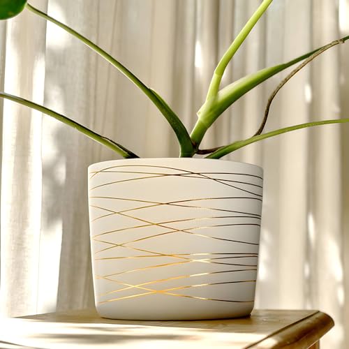 Willowy 9 Inch Ceramic Plant Pot - Matte White with Gold Stripes - Drainage Plug Included