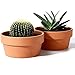 WUHUAROU Set di 2 vasi da fiori in terracotta per piante grasse, per interni ed esterni, con foro di scarico, vaso rotondo per piante resistente alle intemperie, per esterni