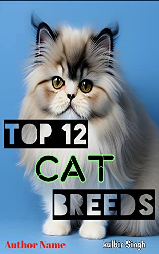 Top 12 CAT breeds: Top CAT breeds