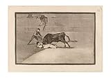 Photo Gallery spiffing prints francisco de goya - gored by the bull - medium - matte - framed Photo Gallery spiffing prints francisco de goya - gored by the bull - medium - matte - framed