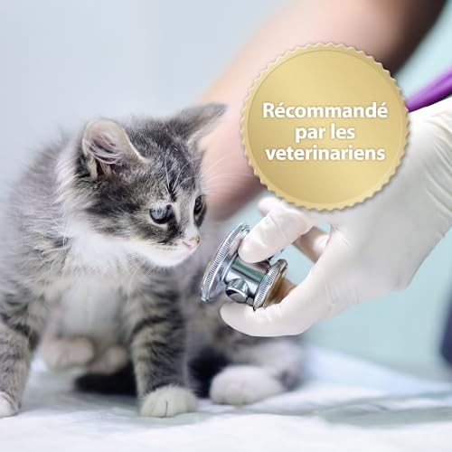 Felisept Home Comfort Set Diffuseur Chat Anti Stress + Recharge 45 ml - Calmant pour chat - Anti-Stress Chat - Avec De L'Herbe À Chat Naturelle sans Phéromones pour chat -Relaxation Pour Les Chats – vue 5