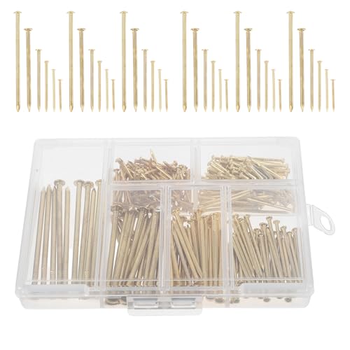 Abaodam 300FۓB ʐ^t[Ǌ|plȊzpB A[gpSe  X^WI ItBXΉ