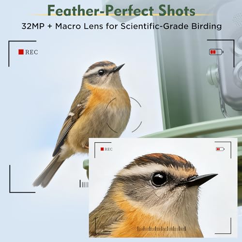 image for WingHome Bird Feeder with Camera, 4K UHD Video & 5G WiFi Live Stream, 