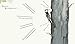 Snow Birds: A Picture Book