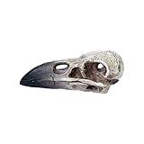 Reliquary Raven Skull - Skull