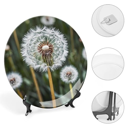 Plato decorativo de porcelana hueso blanco 6 pulgadas miniatura 4