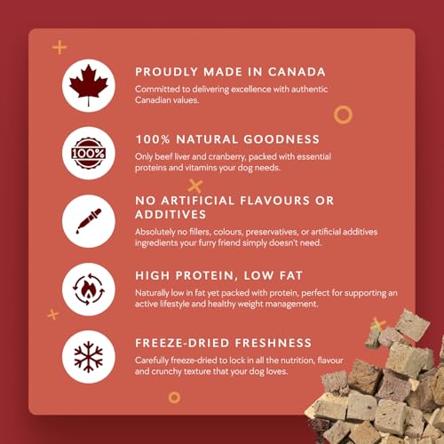 Benny Bullys Beef Liver Plus Cranberry, Freeze Dried Dog Treats, Low Fat, High Protein, Nutrient Rich, for Urinary Health - 58g (Medium) image 3