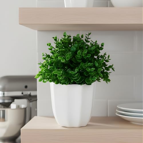 Image of fancymart Artificial Plant Hackleberry Green Bunch in Pot - 22 cm Height, Perfect for Tabletop Decoration | Ideal for Home & Office Decor