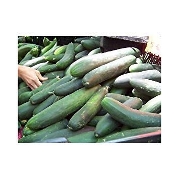 まがったキュウリ きゅうり – 株式会社信州山峡採種場