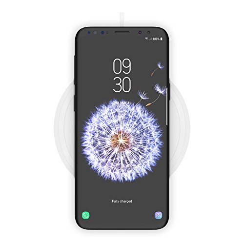 Belkin Chargeur à induction BOOST UP (10 W) – Chargeur sans fil pour iPhone XS, XS Max, XR, X, iPhone 8/8+, Samsung S10, S10+, S10e, Google Pixel 3 et autres (adaptateur secteur CA inclus), Blanc