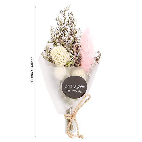 Junluck Flor seca natural, três cores disponíveis buquê floral presente para decoração de casamento