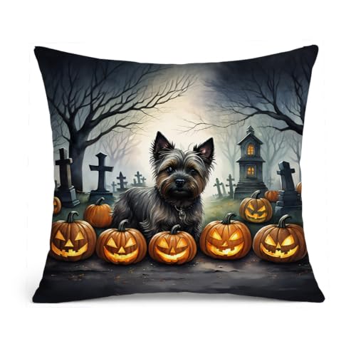 Caroline's Treasures DAC2027PW1818 Cairn Terrier Spooky Halloween Fabric Decorative Pillow Machine Washable, Indoor Outdoor Decorative Pillow for Couch, Bed or Patio, 18Hx18W