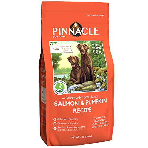 Image showcasing 10 Best Salmon Recipe Dog Foods for a Healthy and Happy Pup: Your ...