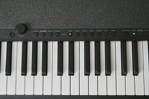 Casio Casiotone CT-S1-76BK Piano-Keyboard mit 76 anschlagdynamischen Tasten, 61 Sounds, schwarz