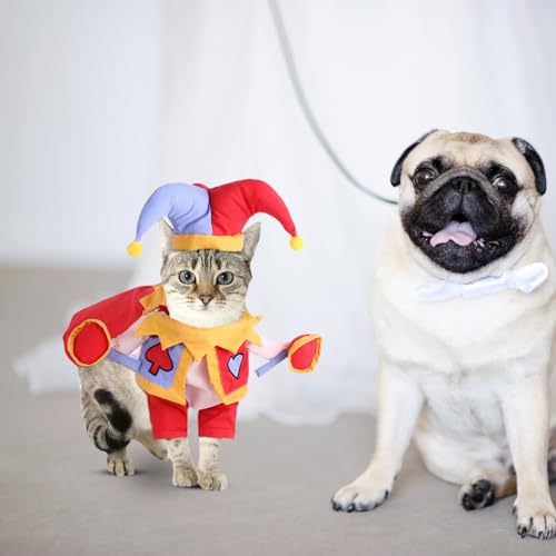 Disfraz para perro y gato Cartoon Cat and Dog tamaño S miniatura 4