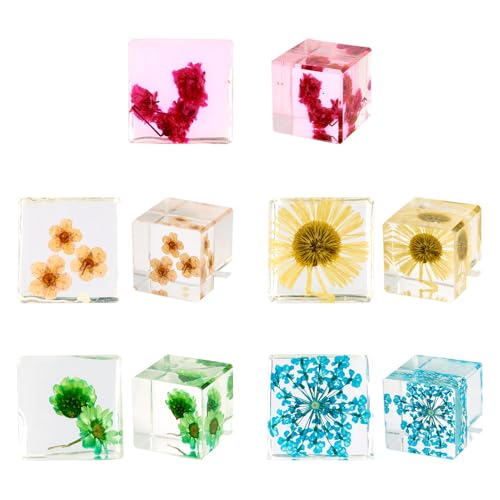 Sparkeads Briefbeschwerer mit gepressten Blumen, getrocknete Blumen aus Harz, transparent, Würfel, Briefbeschwerer für Schreibtisch, Ornament, Heimbüro, Dekoration, 5 Stück