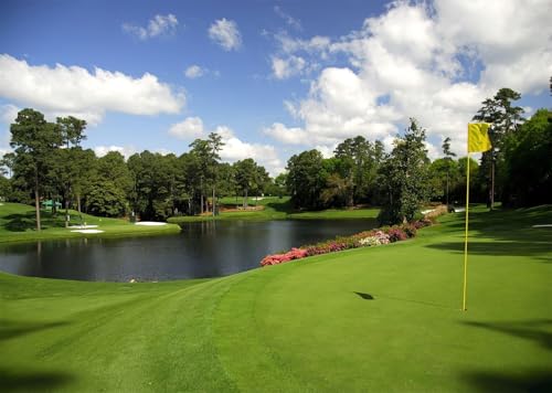 SADFA Golf Course Backdrop 7x5ft Green Grass Bush Stake Hole