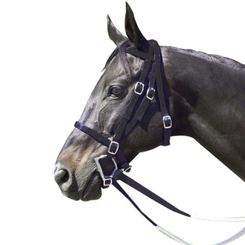 Intrepid International Exselle Horse Bridle - Durable Nylon Racehorse Bridle with Adjustable Rubber Grip Horse Reins, Cavesson & Curb Strap Attached - English Bridle Sets for Horses