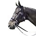 Intrepid International Nylon Race Horse Bridle