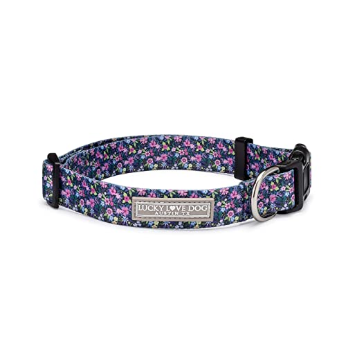 The 10 Best Color Collar For Brindle Dog Reviews In 2023 ReviewzLab