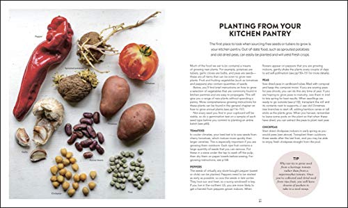 Grow Food For Free: The Sustainable, Zero-cost, Low-effort way to a Bountiful Harvest