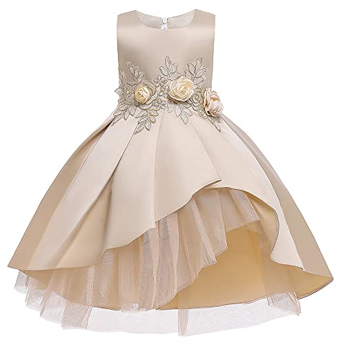 Flower Girl's Wedding Party Dress Princess Birthday Pageant Formal Ball Gown Prom