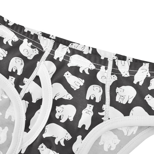 Little Boys Briefs Polar Bear Soft Cotton Toddler Underwear in Sizes 2/3t, 4t, 5t, 6 and 84