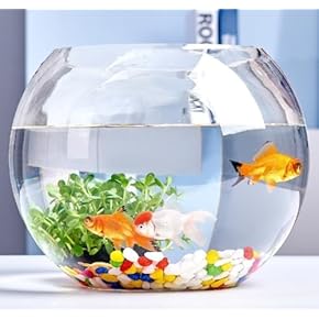 Amazon.co.jp: テラリウム - 鉢・プランター用品: DIY・工具