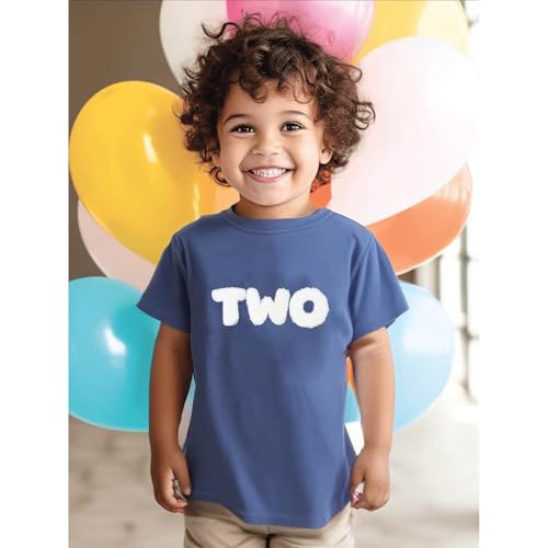 1st Birthday Boy Shirt Toddler Baby Short Sleeve Embroidered Letter One Year T-Shirts Tops Outfit Clothes3