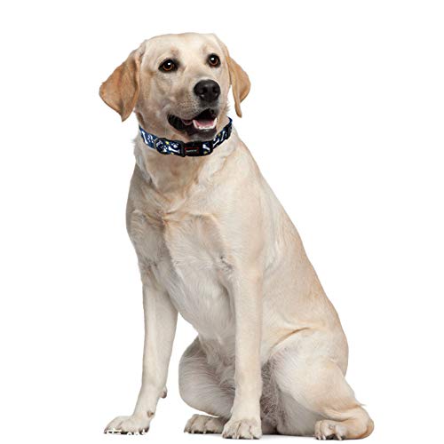 Qqpets Adjustable Soft Dog Collar: Print Flower Pink Multicolor Cute Patterns For Xs Small Medium Large Pet Girl Boy Puppy Walking Running Training (S, Bone) #TOP6