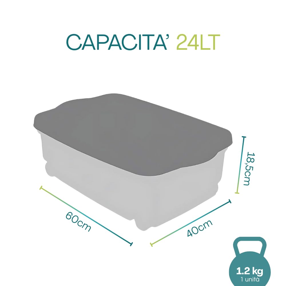 PALUPLUS 3 Contenitori Multiuso Basso con Ruote e Coperchio ANTRACITE, misura 60x40x18,5 cm e Capacità 24 Lt, Porta biancheria Trasparente, Organizer box salvaspazio per Scarpe, Vestiti - 633F -3,95