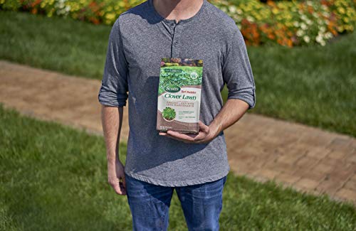 Scotts 18013A Turf Builder Clover Lawn thumb #1