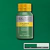 Winsor & Newton Galeria Acrylic Color, 500ml (16.9-oz) Bottle, Permanent Green Middle #1