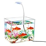 Mini Aquarium,avec éclairage LED déco Table esthétique | kit Aquarium Compact et Accessoires pour Betta,pour Maison, Appartement, Bureau, hôtel, débutants, Adultes, aquariophilie,
