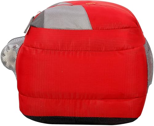 Image of Large 30 L Laptop Backpack Unisex Bag Office /School /College /Business 217