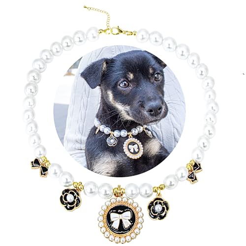 SM4BED  L  p[lbNXAƍ̃r[Y 킢уy_gƃt[S[fr[YA߉\ȎqWG[A^^ybgpAL 14C`