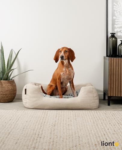 lionto Hundekörbchen mit flauschigem Wendekissen, kuscheliges Heimtierbett in meliertem Design mit tiefem Einstieg für Hunde & Katzen Aller Größen, 80x60 cm, weiches Hundebett, beige