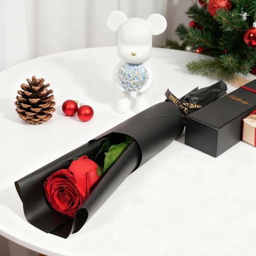 Yamonic Preserved Flowers Rose Gifts for Women Mom, Mothers Day Rose Flower Gifts for Mom, Forever Real Flowers Birthday Mom Gifts for Her, Grandma, Girlfriend, Wife Gifts for Anniversary (Red) - Image 5