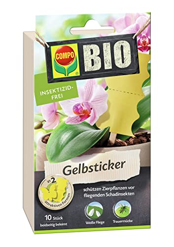 Compo Adesivi Biologici Gialli Trappole Insetti 12 X 10 Pezzi