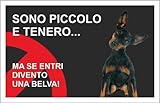 cane pincher toy foto DURATA: Resiste all'acqua, ai raggi del sole, sabbia, polvere. Stampato in UV Fotografica (la più resistente nel tempo) Per uso interno o esterno