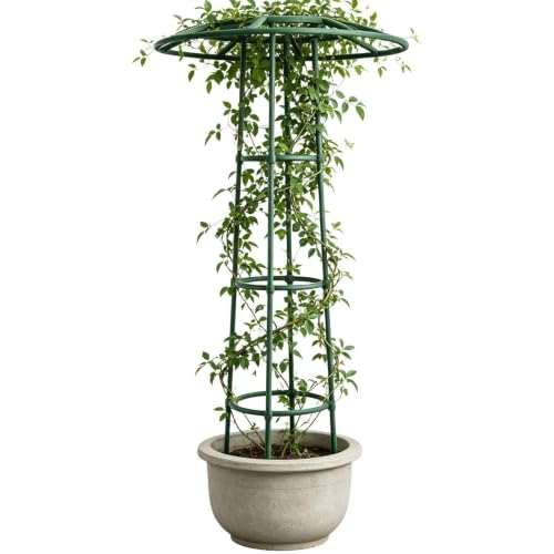 Enrejado de jardin para evitar caidas de enredaderas en patio al aire libre 2