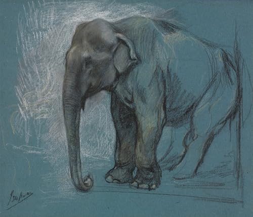 Impression Peinture Poster Éléphant Swan Tableaux Graffiti Finition Premium 60x90