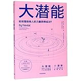 Big Potential: How Transforming the Pursuit of Success Raises Our Achievement, Happiness, and Well-Being (Chinese Edition)